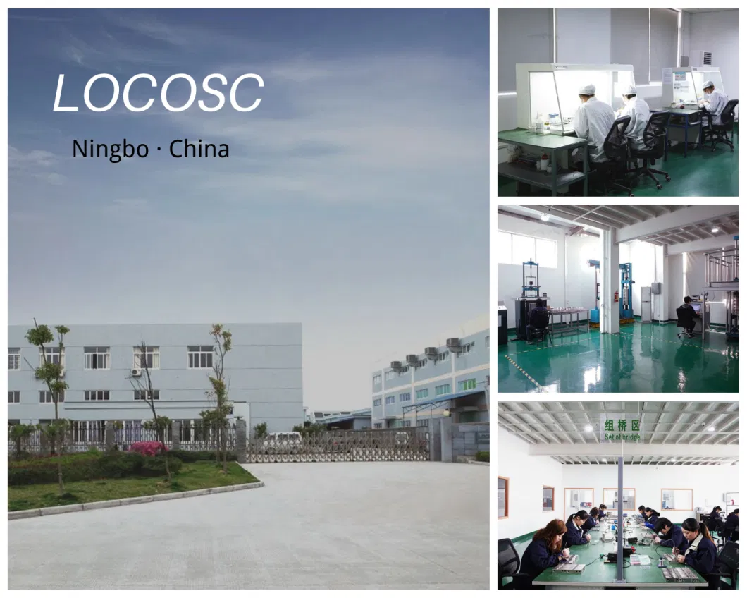 China Locosc Sell Well Digital Process Position Weighing Indicator Controller